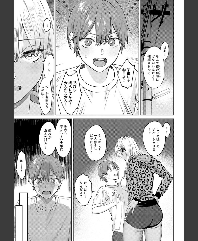 性成長 姉系 同人誌